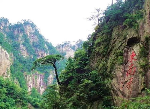 景点推荐：沿途的宝藏，  不是网红打卡