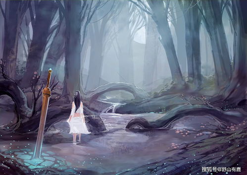 2. 飞翔梦 - 我要飞得更高