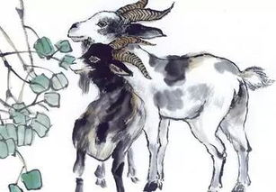 十二生肖兔的婚姻配对表具体内容是什么？