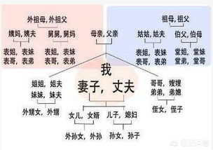 一、扫帚星的起源与象征意义