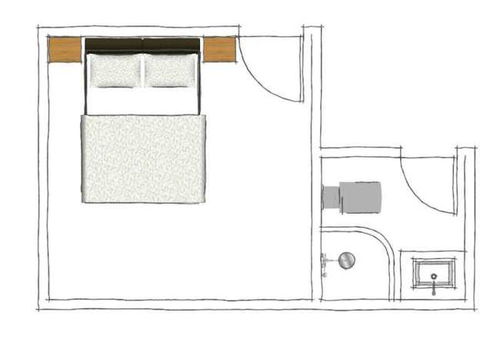 南北方位的优势：顺应地磁场的自然选择