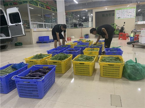 一、蔬菜配送公司：让菜市场不再菜