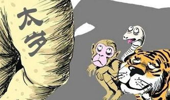一、 命理学中的“犯太岁”概念
