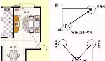 第二节 生机植物的引入与养护原则