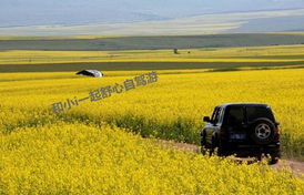 住宿指南：花钱买罪受