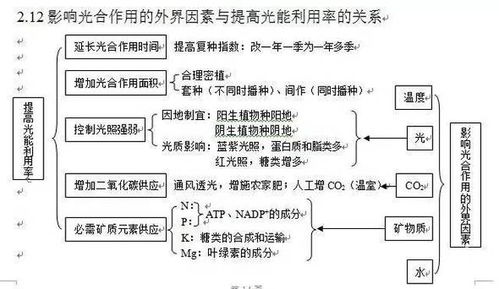 功嫩特性与应用价值探讨