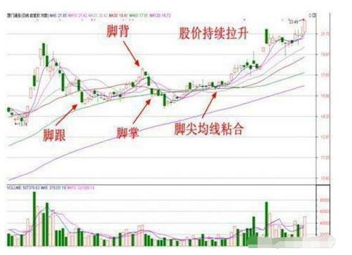 一、 天时：金鸡独立格的吉相分析