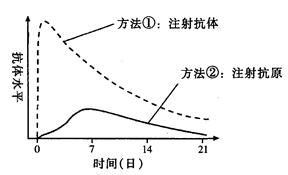 1.1 健康线深浅变化与身体恢复过程
