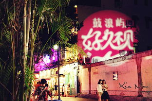 六、  注意事项与策略性反思