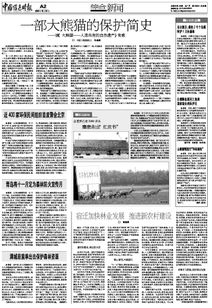 方位煞气规避及环境营造