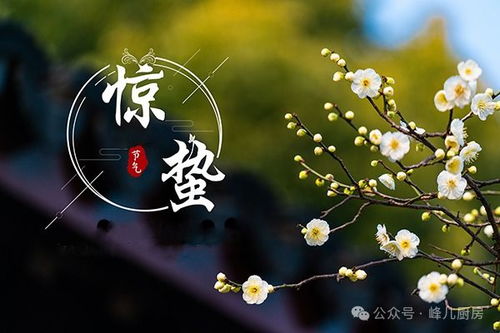 惊蛰养生迷惑行为大赏