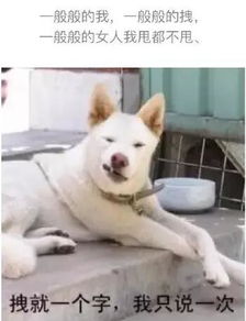 QQ昵称：从“二次元废柴”到“霸道总裁”