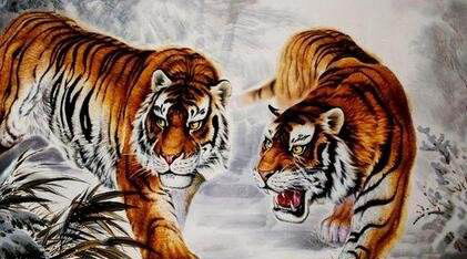 属虎的寿命吉凶大全中，今日的吉利数是多少呢？