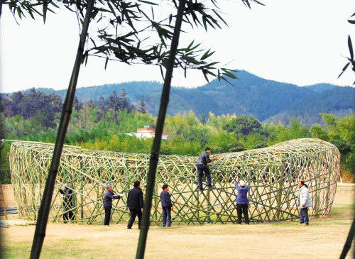 屋后檐鸟巢的出现，是预示吉祥还是不祥呢？