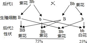 1.3 《解曰》段落对 **