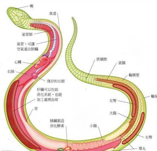 1.2 知识储备与思维培养