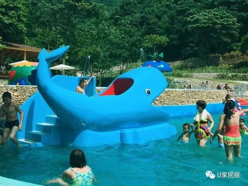 亲子游的挑战与机遇