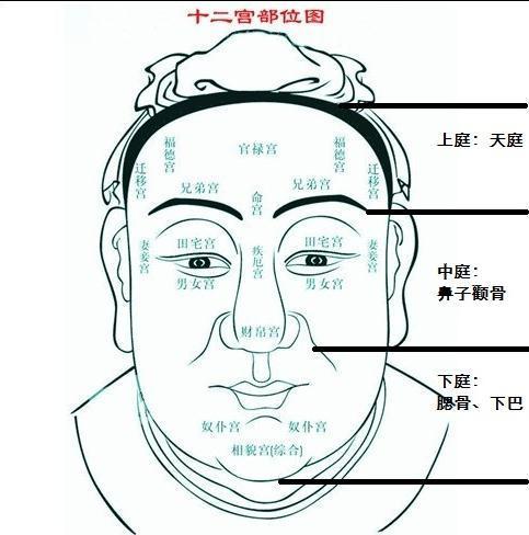 面相学中关于性格固执女性的特征分析