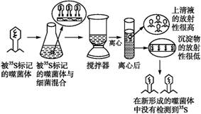 1. 方位选择：水泥也要看风水？