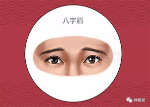 第一章 眉毛上翘的面相学界定及其在整体运势中的权重