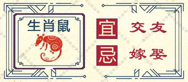 人际关系与情感运势解析