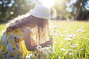 卧槽！梦到摘花是啥鬼意思？看完直接裂开