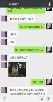 2.1 星座性格互补之策略