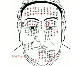 （一）平面放置的方法论