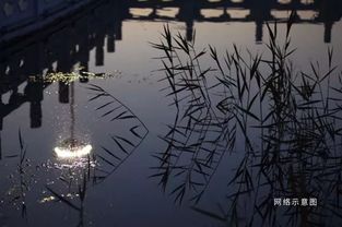 二、 古典诗画与风水意象的交叉解读