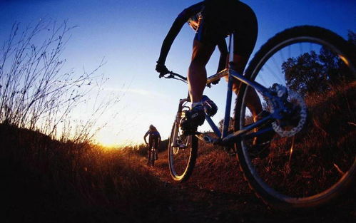 先说个乱七八糟的开场白——为什么我们要找性价比高的旅游自行车？