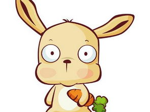 属马女与属兔男婚配是否适合，属马男兔女婚配结果如何？