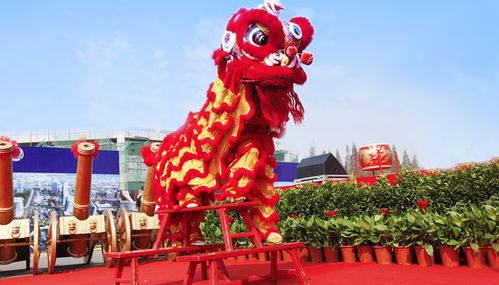 南狮与北狮：地域文化的二元分野