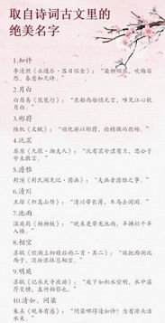 2.1 唐诗宋词里的宝藏多得数不清