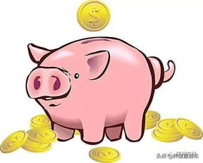 2026年属猪的人最佳婚姻配对是哪个生肖？