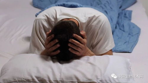 (3) 生活节奏紊乱对睡眠节律的影响