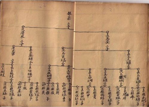 家谱不仅仅是记录 ： 它是一种文化的传承