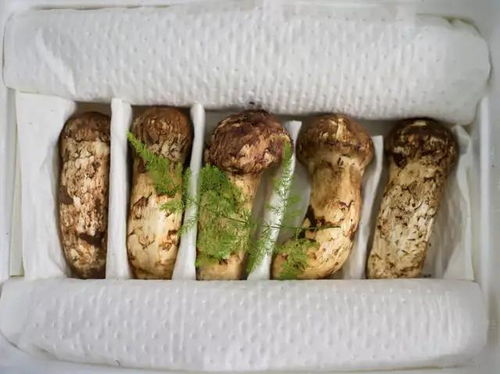 1.2 食物寓意解析