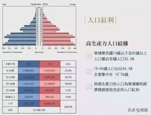 一、 年龄计数体系的历史持续发展演变与理论框架