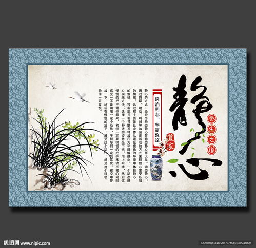 （一）生肖文化与静心修养的辩证统一