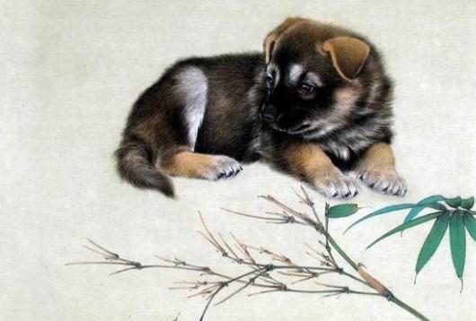 2026年属狗和属猪的人事业贵人是谁？