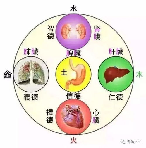 火克金：温煦制约收敛