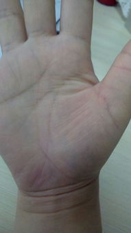 看手相能看出一个人是否花心吗？