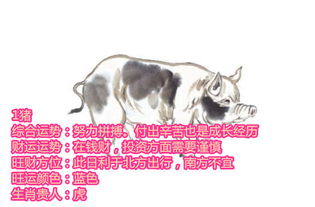 2026年1月属虎黄道吉日有哪些属相，属虎在2026年会否走运？