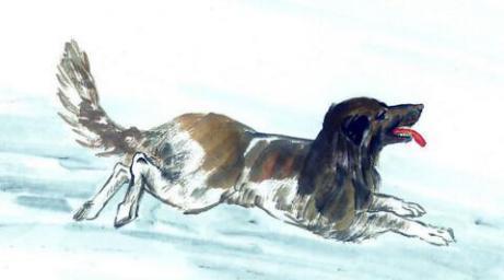 今年这个生肖是不是以经度过大难，家和万事兴，五福齐全，是不是正迎接紫气东来呢？