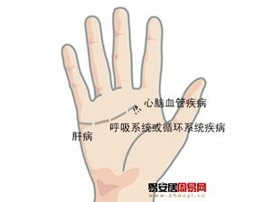 5. 毛状虚线或羽毛状终端——心脑血管系统潜在病变