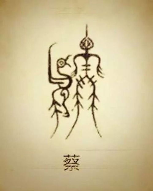 蔡姓的由来与特点