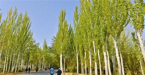 风水观念中的环境影响