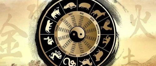 如何根据八字时辰判断缺什么五行？