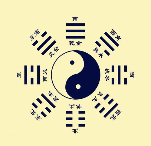时柱丁酉男命，其命运玄机究竟有何奥秘？