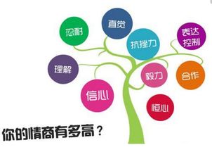 五、 特定格局的高情商特征详析